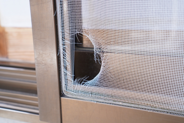 コラム：網戸